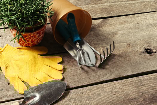 composition of garden tools photo