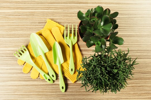 composition of garden tools photo