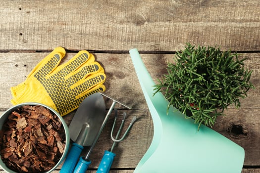 composition of garden tools photo