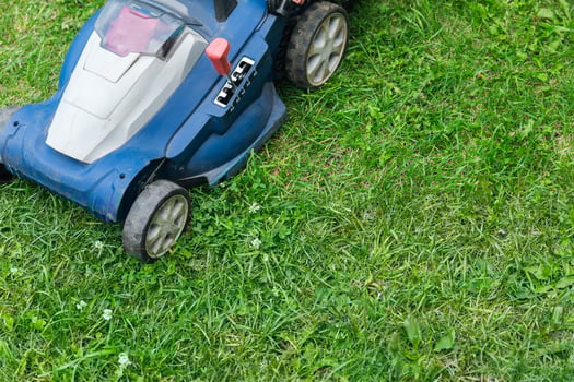 Lawn mower cutting green grass in backyard. Gardening background. photo