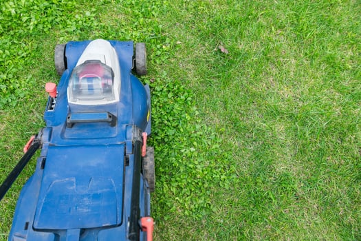 Lawn mower on a grassy lawn. Push mower with a grass collection bag attached to the back. Grass to a consistent height, providing a neat and uniform lawn appearance. photo