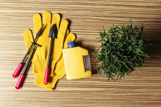 composition of garden tools photo