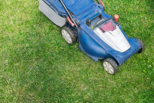 Mowing or cutting the very long grass with a green lawn mower in the summer sun photo