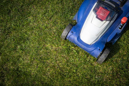 A lawn mower is cutting green grass, the gardener with a lawn mower is working in the backyard, a side view. photo