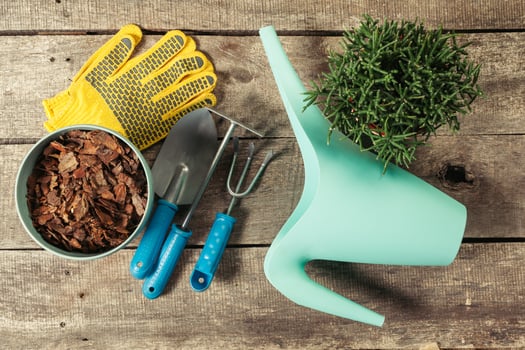 composition of garden tools photo