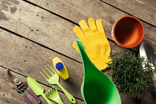 composition of garden tools photo