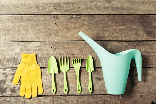 composition of garden tools photo