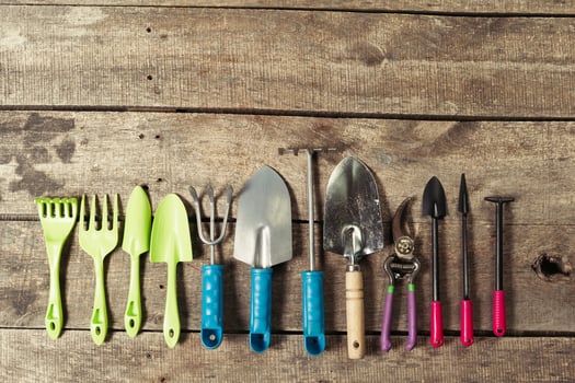 composition of garden tools photo