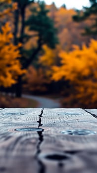 weathered wooden surface with a blurred autumn forest background photo
