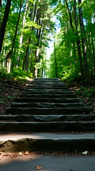stone steps leading into a sun-dappled forest photo