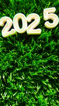 white plastic numbers 2025 on a green grass background photo