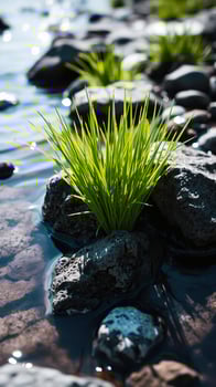patch green amidst the gray rocks photo