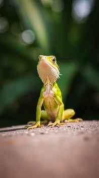 curious green lizard perched on a brown surface photo