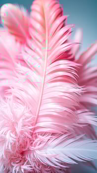 soft pink feathers showcase delicate texture photo