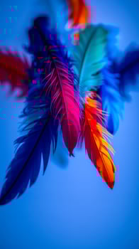 vibrant feathers on a blue background photo