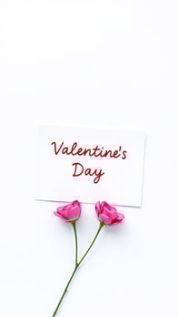 two pink roses rest on a white card valentine's day photo