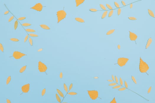 Autumnal fall leaves on blue background. Flat lay. Minimalistic. photo