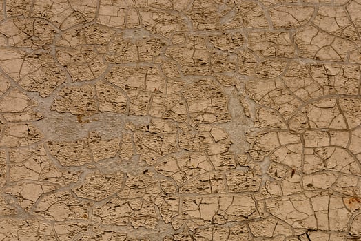 Cracked earth surface under bright sunlight showcases drought conditions in a rural area photo