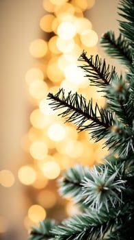 close- a pine tree branch with blurred warm lights photo