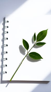 green branch on a white notebook photo