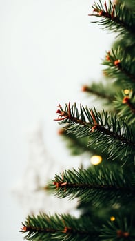 close- a pine branch photo