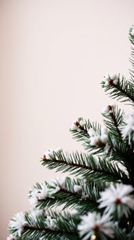 close- a decorated pine branch with white ornaments photo