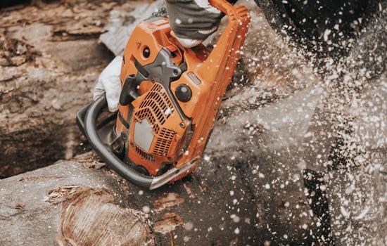 Young man cutting the huge felled wood by chainsaw, create winter wood stocks, industrial concept photo