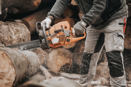 Young man cutting the huge felled wood by chainsaw, create winter wood stocks, industrial concept photo