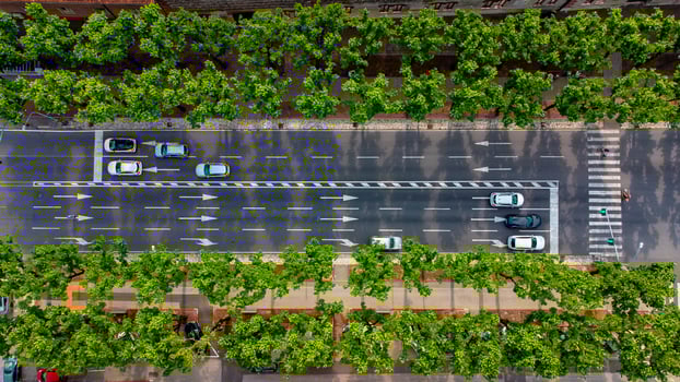 Urban street with cars top down view from above. road bounded by tree line for sustainable world. example of sustainability and global warming problem photo