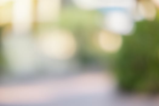 Blurred forest background photo