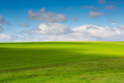 Green field under blue sky with white clouds. Green meadow. Cultivated agricultural field in the countryside. photo