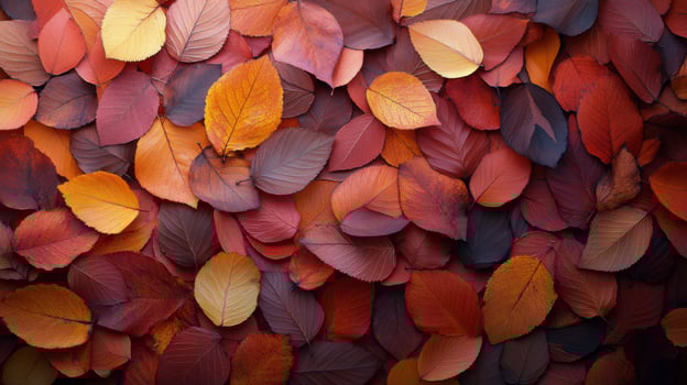 Vibrant autumn leaves covering the ground in shades of red, orange, and yellow during fall photo