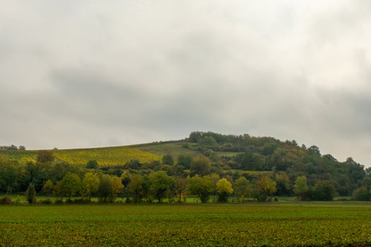 A grassy field stretches out before a wooded hill, the sky overcast with clouds photo