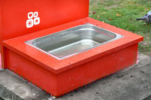 Drinking bowl for animals and birds in the city park photo