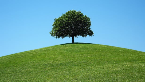 Lone Tree on a Hill, Concept of serenity, solitude, and nature's beauty. photo