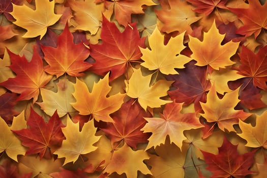 Top view of orange brown yellow and red maple tree leaves in Autumn seasonal scene background photo