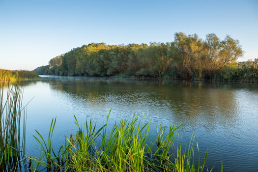 Rural landscape of the Republic of Moldova. The green nature of the country. photo