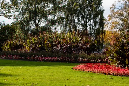 Vibrant Garden with Colorful Flowers in Harrogate photo