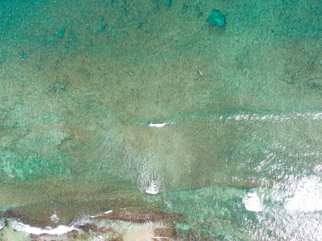Bird's eye view of a surfer swimming in the caribean over the coral reefs, tartane, martinique, west indies, france photo