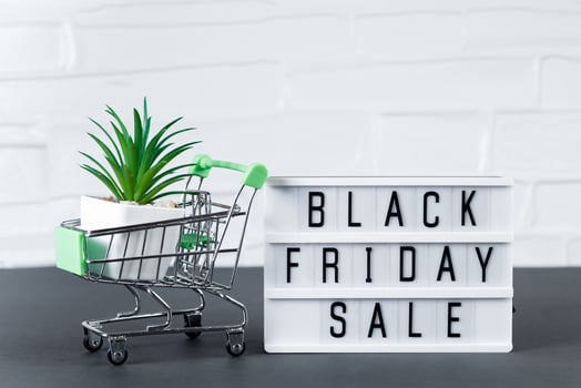 Black Friday concept. Mini shopping cart and succulent plant. Online sale and discount. photo