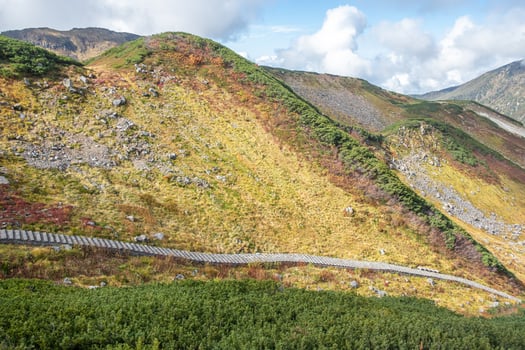 Murodo, Tateyama Kurobe Alpine Route, Japan, A panoramic view of rolling hills displaying vibrant foliage and a winding path photo