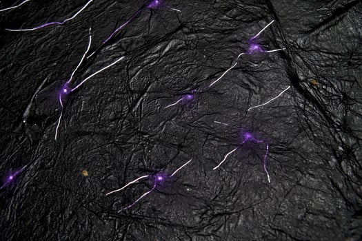 An abstract composition unfolds with tiny purple dots scattered randomly across a deep black canvas. Glowing lines connect them in a stunning constellation-like display, creating a celestial ambience. photo