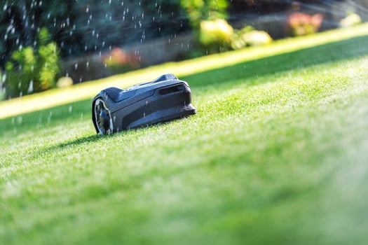 Robotic Lawn Mower Maintaining a Green Lawn in a Sunny Garden During the Afternoon photo