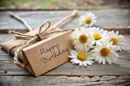 a natural looking banner with happy birthday and white blossoms as background photo
