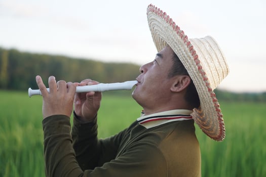Happy Asian man farmer is playing a recorder flute at paddy field. Concept, music blowing with mouth, control with fingers on holes of flute for melody and rhythm. Mouthpiece musical instrument. photo