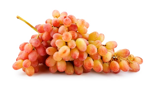 Juicy beautiful bunch of grapes isolated on white background. photo