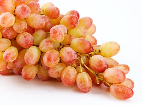Juicy beautiful bunch of grapes on white background. photo