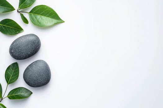Three stones and leaves on a white background photo