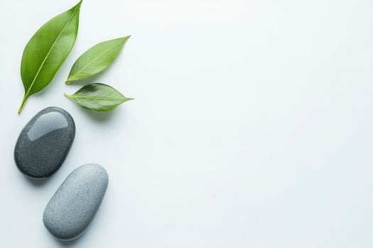 Two stones and leaves on a white surface photo