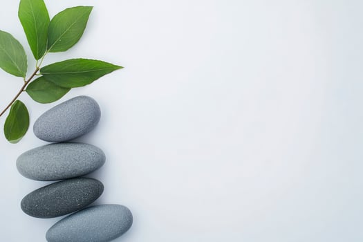 Three stones and a leaf on a white background photo